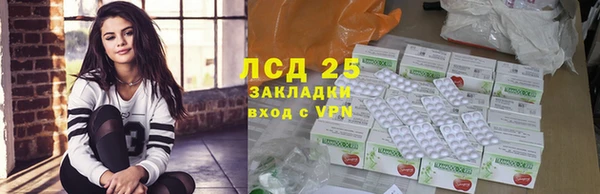 apvp Инсар