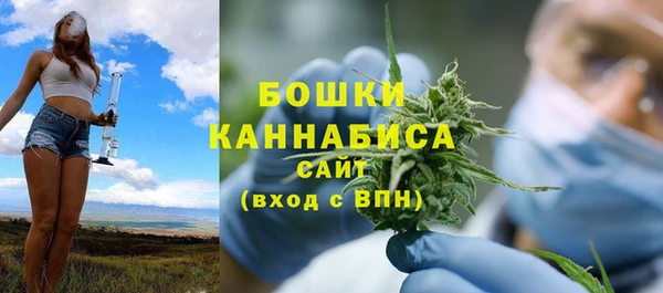 apvp Инсар