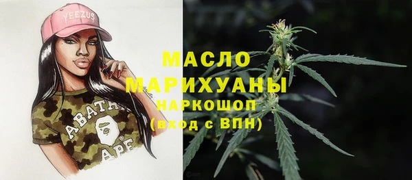 apvp Инсар