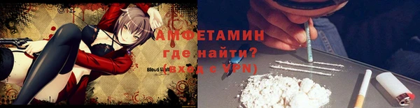 apvp Инсар