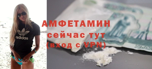 apvp Инсар