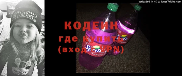 apvp Инсар