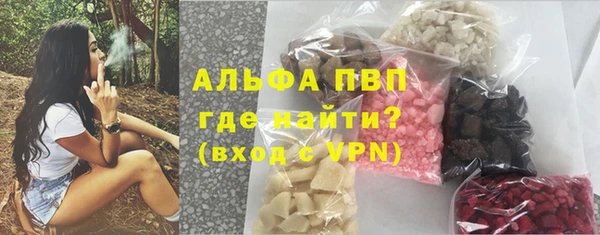 apvp Инсар