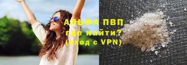 apvp Инсар