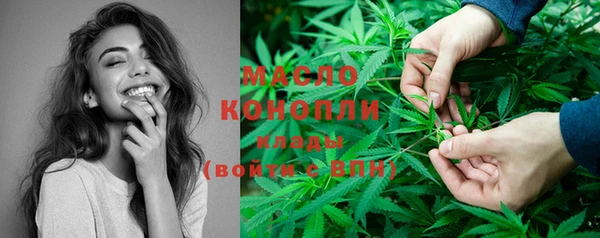 apvp Инсар