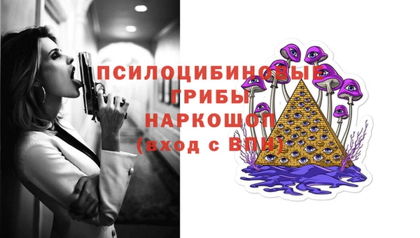 apvp Инсар