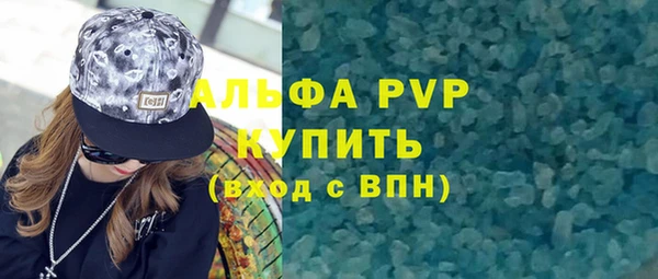 apvp Инсар