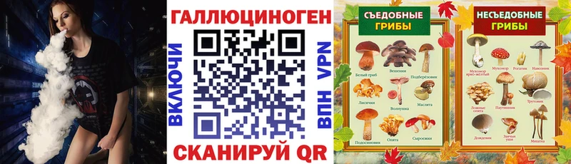 Купить где  Беслан  Псилоцибиновые грибы Psilocybe 